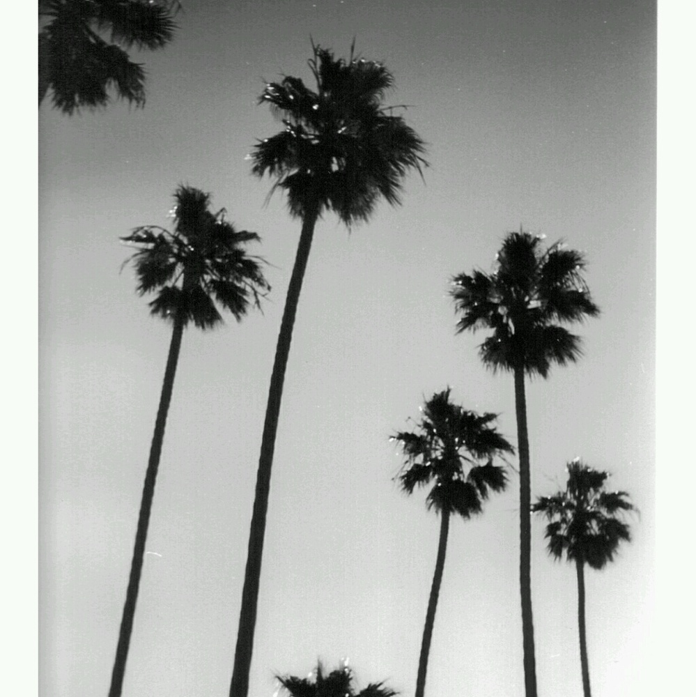 Meet your Posher, Adriana